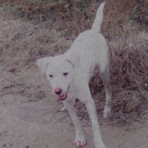 Meet your Posher, Hailey